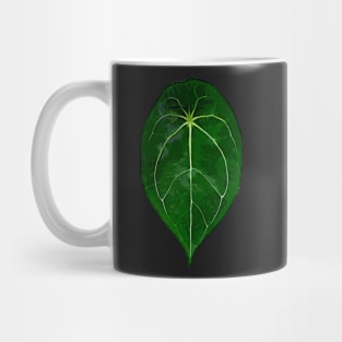 ANTHURIUM FORGETII Mug